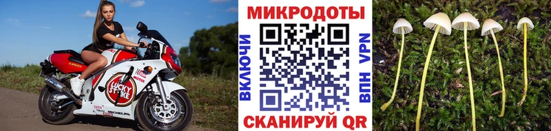 Псилоцибиновые грибы Magic Shrooms  mega онион  Заречный  даркнет сайт 